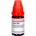 THUJA LM VI Dilution