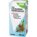 LATSCHENKIEFER-FRANZBRANNTWEIN Salus