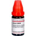 ARNICA LM XXX Dilution