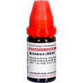 BELLADONNA LM XXIV Dilution