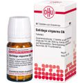 SOLIDAGO VIRGAUREA D 6 Tabletten