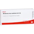 MEMBRANA sinus maxillaris GL D 30 Ampullen