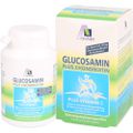 GLUCOSAMIN 750 mg+Chondroitin 100 mg Kapseln