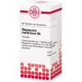 MAGNESIUM METALLICUM D 6 Tabletten