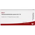 RETICULOENDOTHELIALES System GL D 10 Ampullen