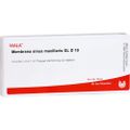 MEMBRANA sinus maxillaris GL D 10 Ampullen