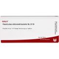 FASCICULUS atrioventricularis GL D 10 Ampullen