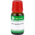 CARBO VEGETABILIS LM 30 Dilution