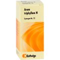 SYNERGON KOMPLEX 72 Arum triphyllum N Tropfen