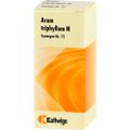 SYNERGON KOMPLEX 72 Arum triphyllum N Tropfen