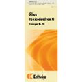 SYNERGON KOMPLEX 98 Rhus toxicodendron N Tropfen