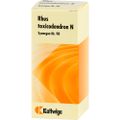 SYNERGON KOMPLEX 98 Rhus toxicodendron N Tropfen