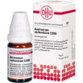 AMMONIUM CARBONICUM C 200 Globuli