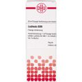 LACHESIS D 20 Dilution