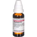 MANDRAGORA D 12 Dilution