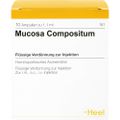 MUCOSA compositum Ampullen