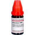 ANACARDIUM LM VI Dilution