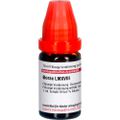 BORAX LM XVIII Dilution