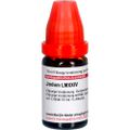 JODUM LM XXIV Dilution