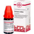 ECHINACEA HAB LM XXX Globuli