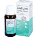 GALIUM COMP.-Heel ad us.ve. für TiereTropfen