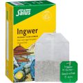 INGWER KRÄUTER-GEWÜRZTEE Salus Filterbeutel