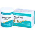 NIERAL 100 Tabletten