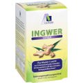 INGWER 500 mg Kapseln+Vitamin B1+C