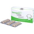 SANAGAST Laves Tabletten