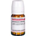 SCROPHULARIA NODOSA D 6 Tabletten