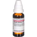 SECALE CORNUTUM C 30 Dilution