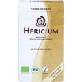 HERICIUM VITALPILZ Bio Terra Mundo Kapseln