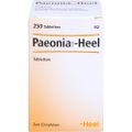 PAEONIA COMP.HEEL Tabletten