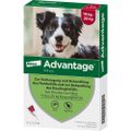 ADVANTAGE 250 Lösung f.Hunde 10-25 kg