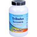TRIBULUS TERRESTRIS 1200 mg Kapseln