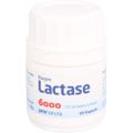 LACTASE 6.000 FCC Kapseln