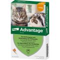 ADVANTAGE 40 mg Lsg.f.kl.Katzen/kl.Zierkaninchen