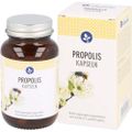 PROPOLIS KAPSELN 450 mg