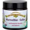 MURMELTIER SALBE