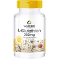 L-GLUTATHION 250 mg Kapseln