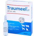 TRAUMEEL LT ad us.vet.ampoules