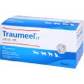 TRAUMEEL LT ad us.vet.Ampullen