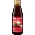RABENHORST Antioxidantien Bio mini Saft