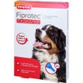 FIPROTEC 402 mg Lösung z.Auftr.f.sehr gr.Hunde