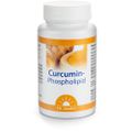 CURCUMIN-PHOSPHOLIPID Dr.Jacob's Kapseln