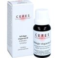 CERES Solidago virgaurea Urtinktur