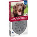 ADVANTIX Spot-on Lsg.z.Auftr.a.d.H.f.Hund 25-40 kg