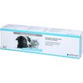 RECONVALES Power Vitaminpaste f.Hunde/Katzen