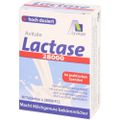 LACTASE 28.000 FCC Tabletten im Spender