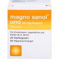 MAGNO SANOL uno 243 mg Kapseln